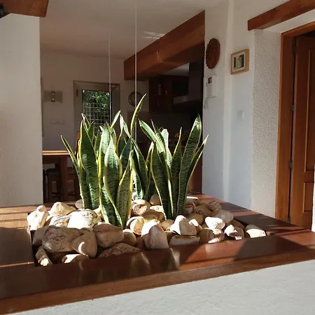Villa Cal Domino *